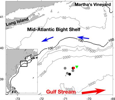 Assessing mesopelagic fish diversity and diel vertical migration with environmental DNA